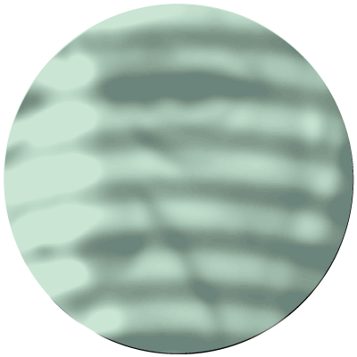 Building and Animating