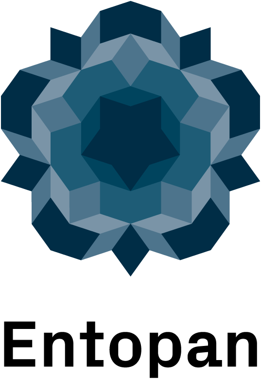 Entopan - Smart Networks & Strategies